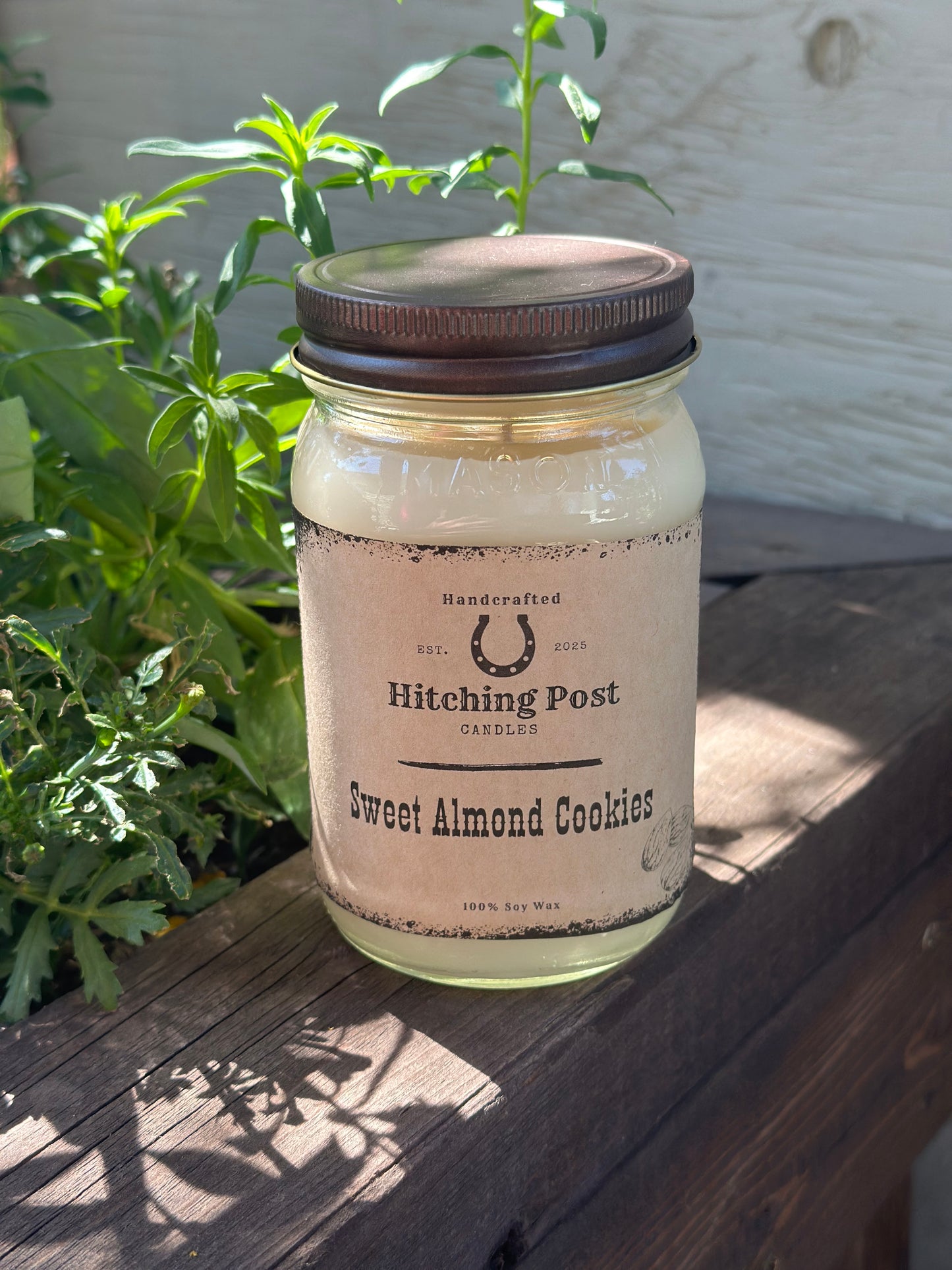 Sweet Almond Cookies